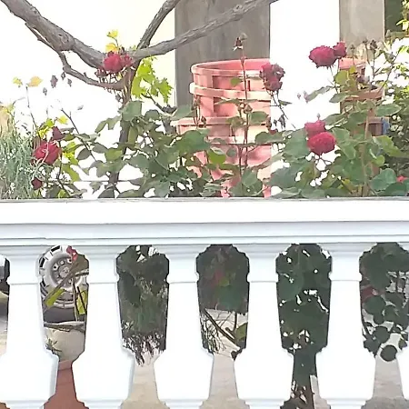 Ivan By The Sea * Tribalj