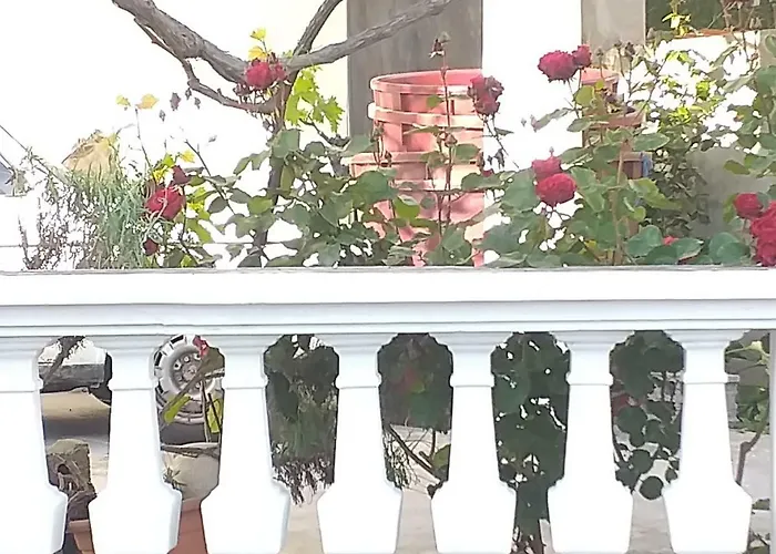 Ivan By The Sea * Tribunj (Sibenik-Knin)